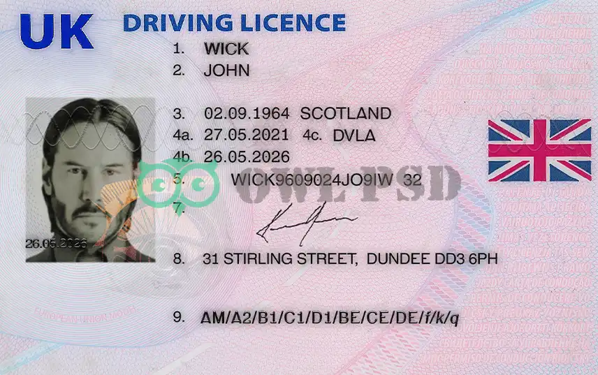 Owl Psd - United Kingdom Driver License Template 2021